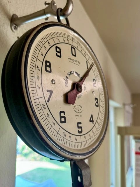 Hanging Wall Scale