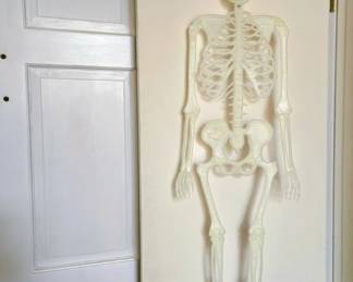 Glow in the dark skeleton