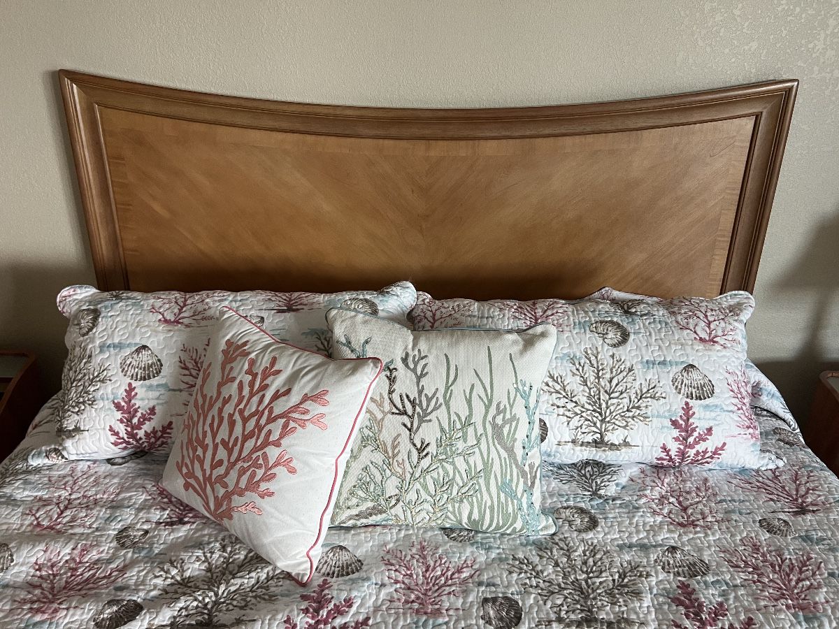King Size Bed with Storage chest and TV Credenza