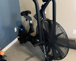 Rogue exercise and other gym equipment