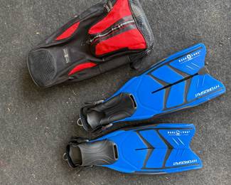 Scuba Flippers & Bag