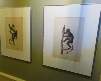 Jean Baptiste Audebert collaged monkey engravings