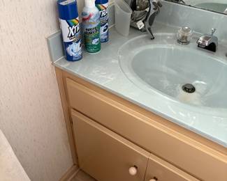 Bathroom adjacent to laundry room items