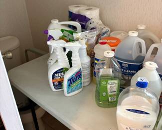 Bathroom adjacent to laundry room items