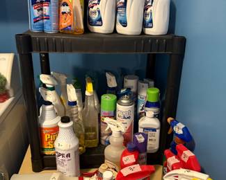 Bathroom adjacent to laundry room items