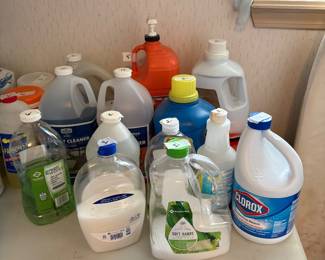 Bathroom adjacent to laundry room items