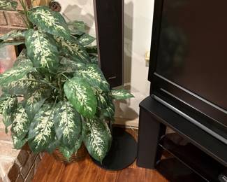 Artificial plant and sound bar next to TV in living room