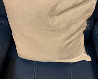 Living room (2) of these pillows