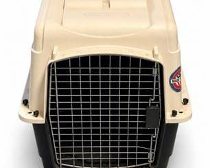 Lot 0537: Petco Home & Travel Premium Small Plastic Travel Kennel — current bid $5