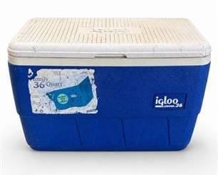 Lot 0540: Igloo Legend 36 36-Quart Polyethylene Insulated Cooler — current bid $5