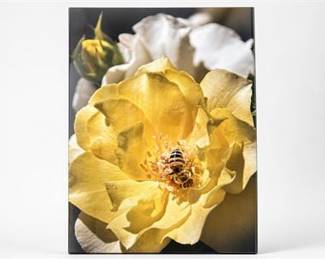 Lot 0771: Larson-Juhl Gallery Moments Framed Floral Photograph — current bid $5