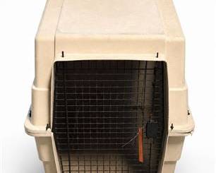 Lot 0531: Hard-Sided Dog Travel Kennel with Cabela's Camo Cover — current bid $5