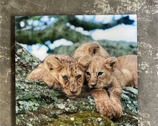 Lot 623: Restickable Adhesive Photo Wall Tile, Lion Cubs (photo 5)