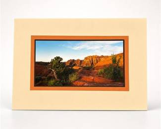 Lot 29: Charles Wood Color Photograph, Southwest Canyon, 2013 — current bid $5