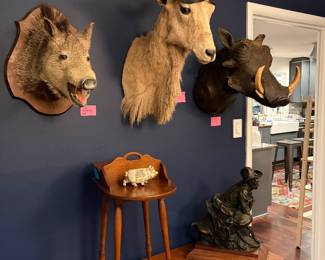Taxidermy