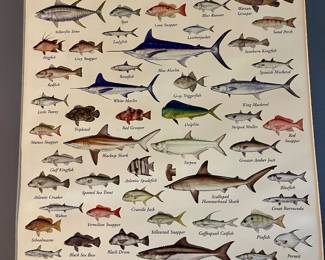 FISH POSTER