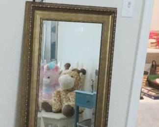 Dressing mirror, Bob Talbot dolphin poster