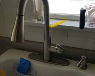 Everything including the kitchen faucet and sink