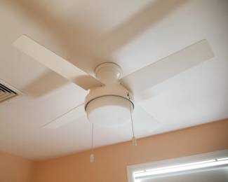 Lighted ceiling fan