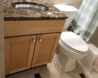 Bath vanity; toilet