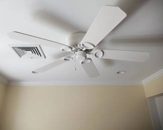 Ceiling fan