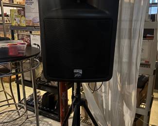 Peavey speaker 
