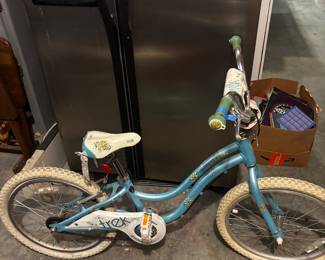 Girls Mystic Trek bike