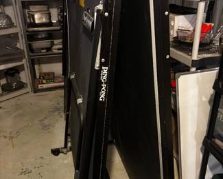 Ping pong table