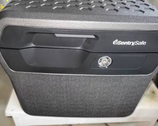 Sentry Safe Fireproof & waterproof Lock Box with Key Lock.