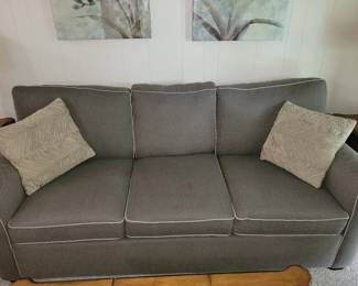 Sage couch 