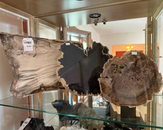 Petrified Sequoia Wood Slab