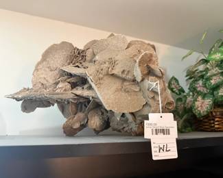 Large Desert Rose Specimen 