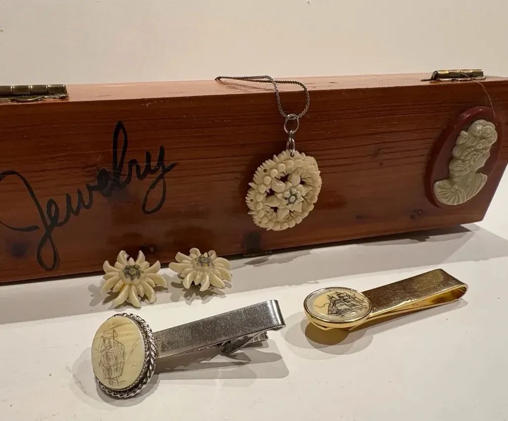 Scrimshaw, Plastic And Bone