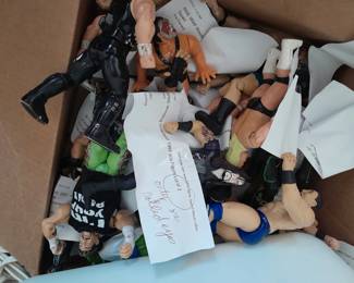 Wrestling mania