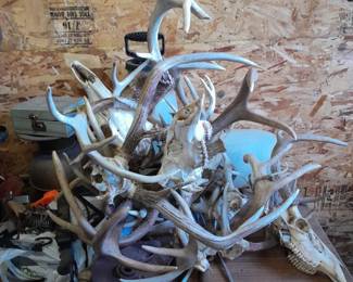 Antlers