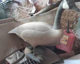 Decoys