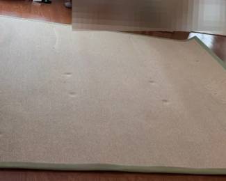 10.2 x 8.6 Beige Rug W Green Border