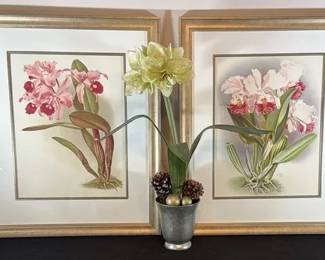 Henry George Moon Orchid Illustrations With Orchid Vase