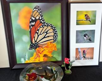 Wild Life Butterfly And Humming Birds Pictures , Glass Plate With Stand And Hummingbird Ceramic.