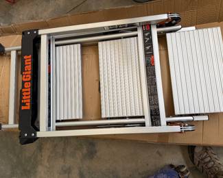 Little Giant Step Stool