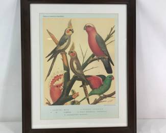 Cassell's Canaries & Cage Birds
