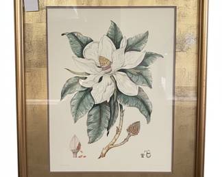 Magnolia Maximo Flore by Dan Mitra