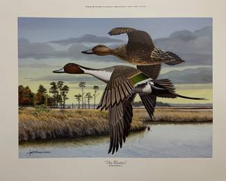 “SKY MASTERS” BY LES MCDONALD JR