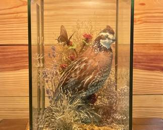 VINTAGE DIORAMA LAMP WITH QUAIL