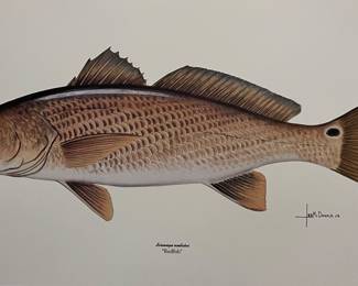 “REDFISH” PRINT BY LES MCDONALD JR