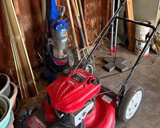 electric lawnmower