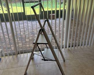 Front gate ladder