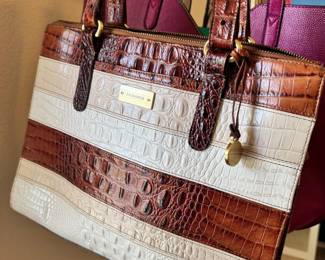 Brahmin Purse
