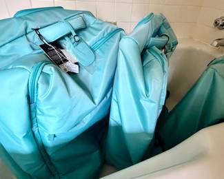 NEW set of Luggage! AWAY SUitcases, Louis Vuitton Garmet Bag