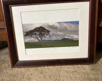 096 15x12signedserengetilandscapeframed